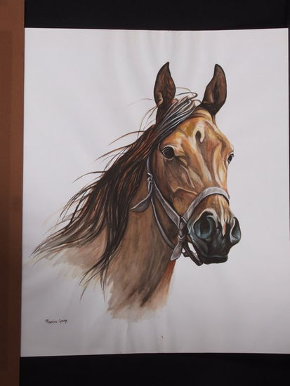 Caballo Acuarela Papel Animales