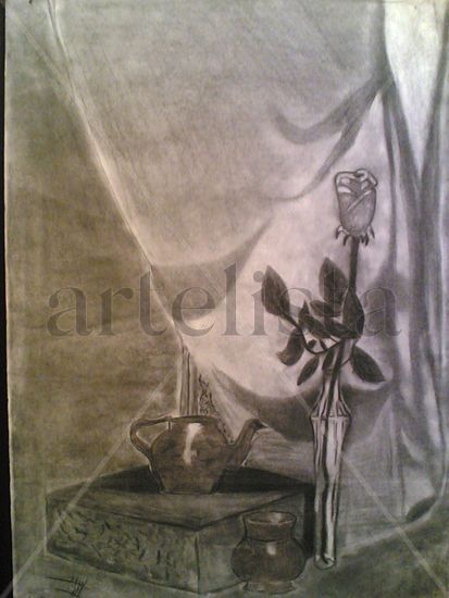 Rosa seca Graphite Paper Still Life Paintings