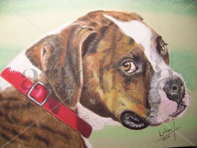 Perro Boxer Pastel Paper Portrait