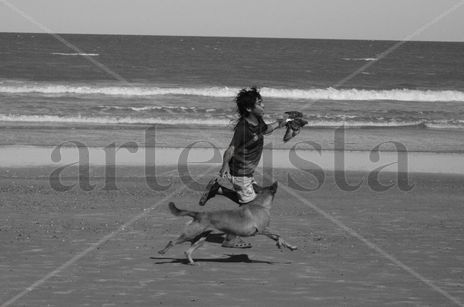 Libre
