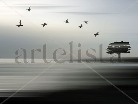 Migración.