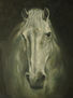 caballo