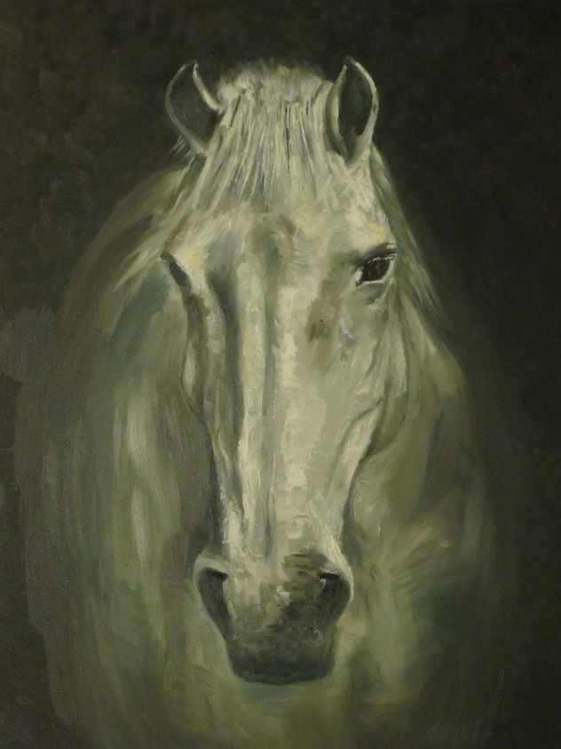 caballo