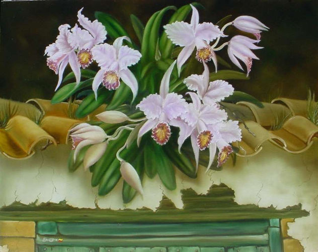 ORQUIDEAS