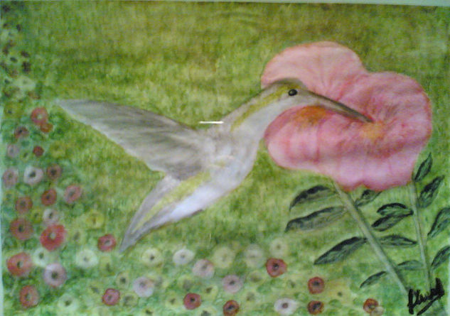 Beija flor - O Colibri beijando flores. Acuarela Papel Animales