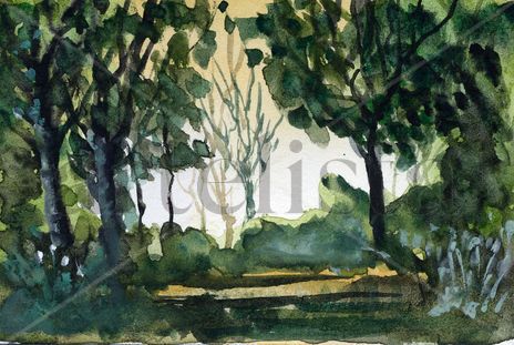 Bosquecillo