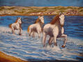 Caballos al trote