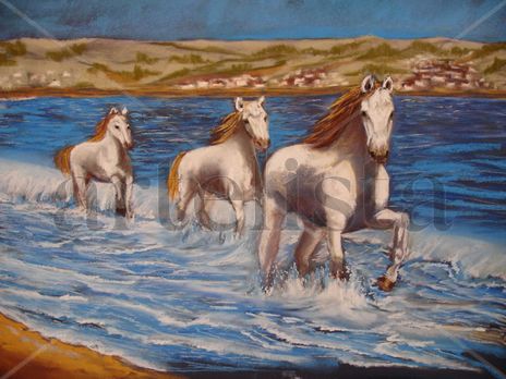 Caballos al trote