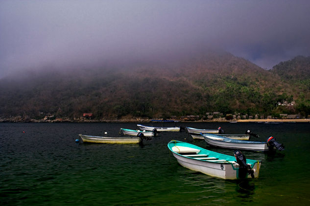 Yelapa Viajes Color (Digital)