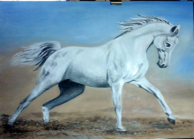 caballo Oil Canvas Animals