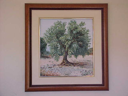 Olivo