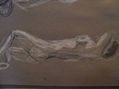 estudio_desnudo