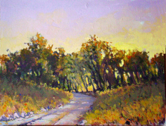 "CAMINO HACIA EL BOSQUE"