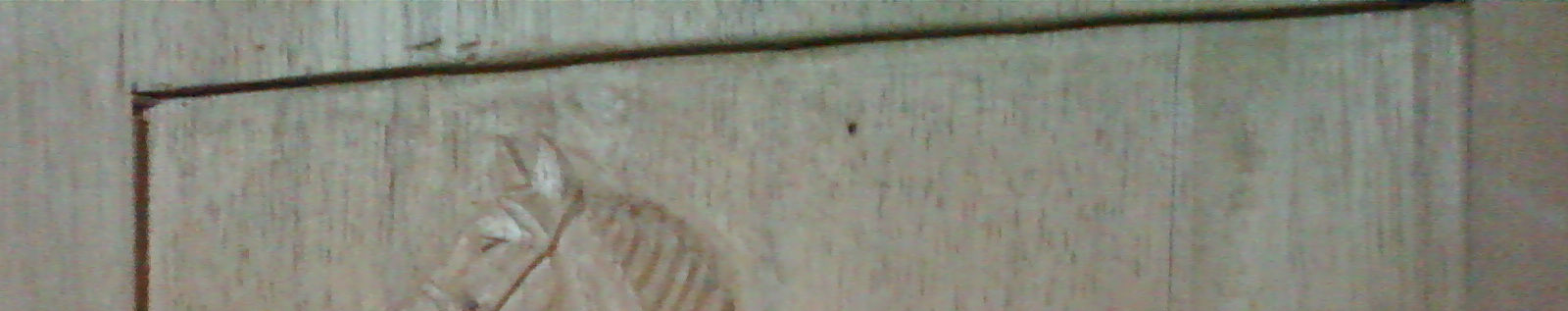 Imagen de portada
