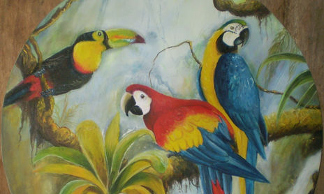AMAZONAS