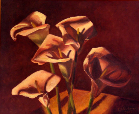 Calas estudio en rojo