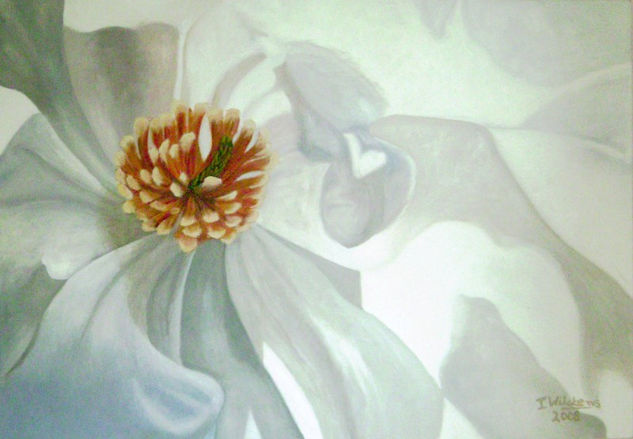 magnolia stellata Oil Canvas Landscaping