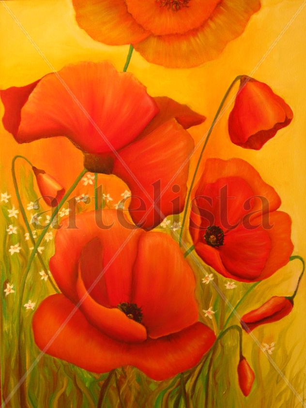 Amapolas 2