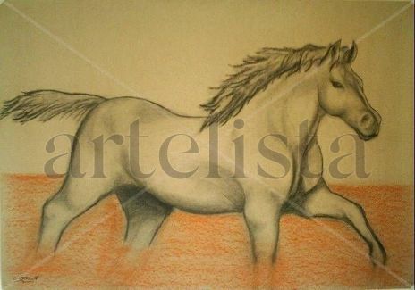 Estudio de un caballo