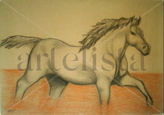 Estudio de un caballo