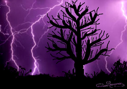 Solo  en la  tormenta
