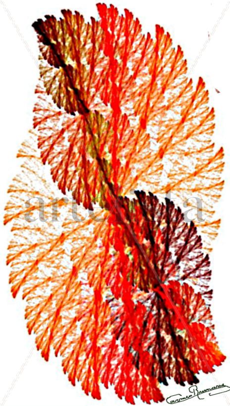 Corales   rojos