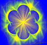 FLOR  CON    LUCES
