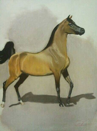 Caballo árabe Pastel Papel Animales