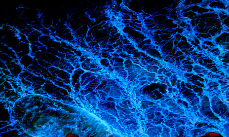 Cuarta dimension