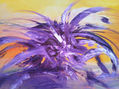 colores