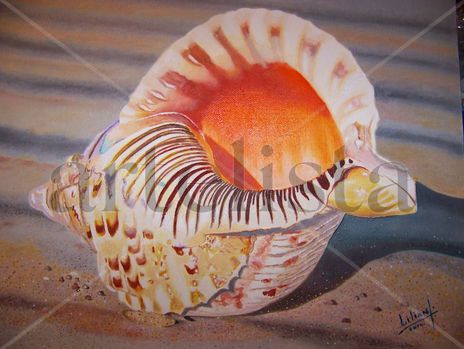 Caracola