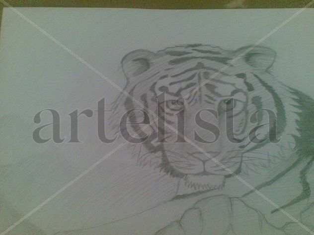 Tigre