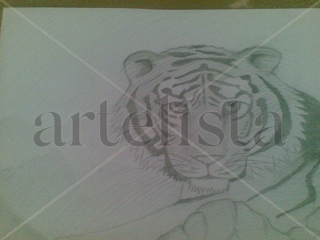 Tigre Pencil