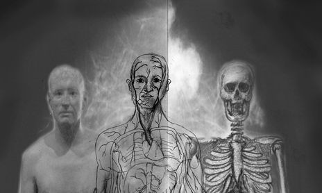 sistemas del cuerpo humano