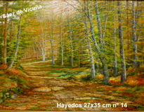 Hayedos 35x27 cm nº14