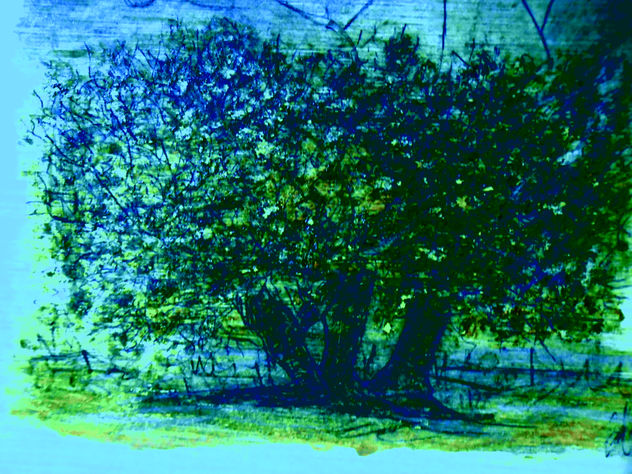 COMPOSICION VLAS.OLIVO