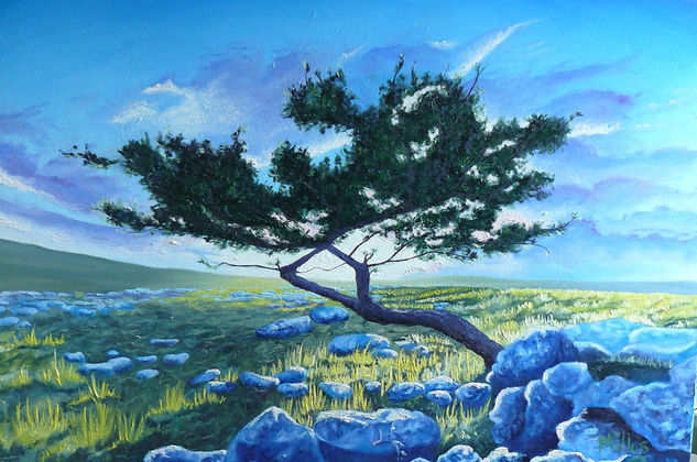 Solitario Oil Canvas Landscaping