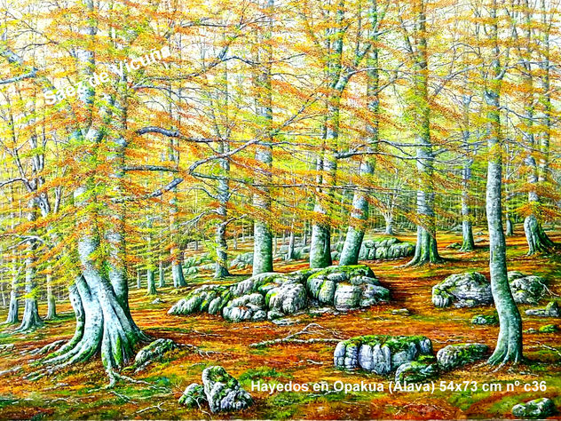 Hayedos 73x54 cm nº c36