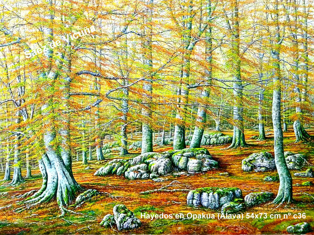 Hayedos 73x54 cm nº c36 Óleo Lienzo Paisaje