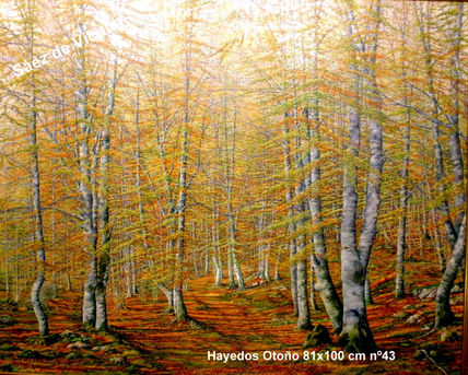 Hayedos 100x81 cm...