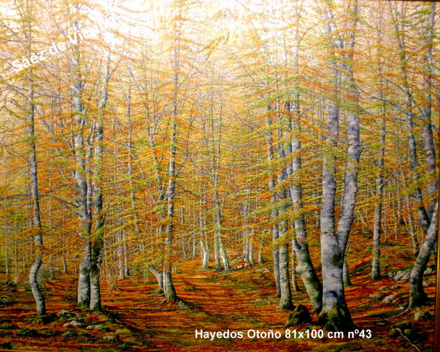 Hayedos 100x81 cm nº 43 Oil Canvas Landscaping