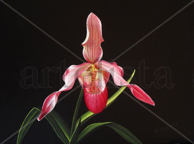 36-ORQUÍDEA Oil Panel Floral Painting