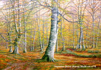 Hayedos 55x38 cm nº 75