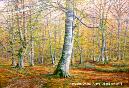 Hayedos 55x38 cm nº 75