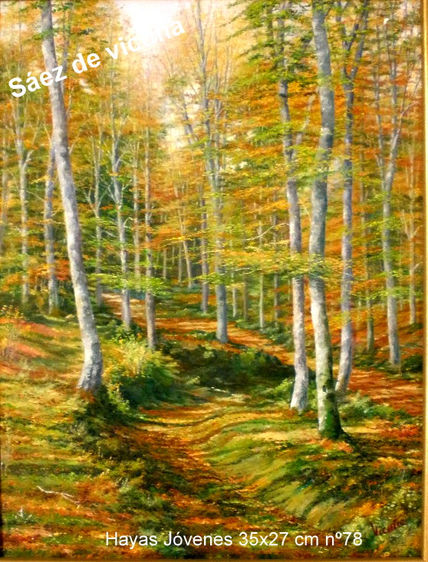Hayas 35x27 cm nº 78