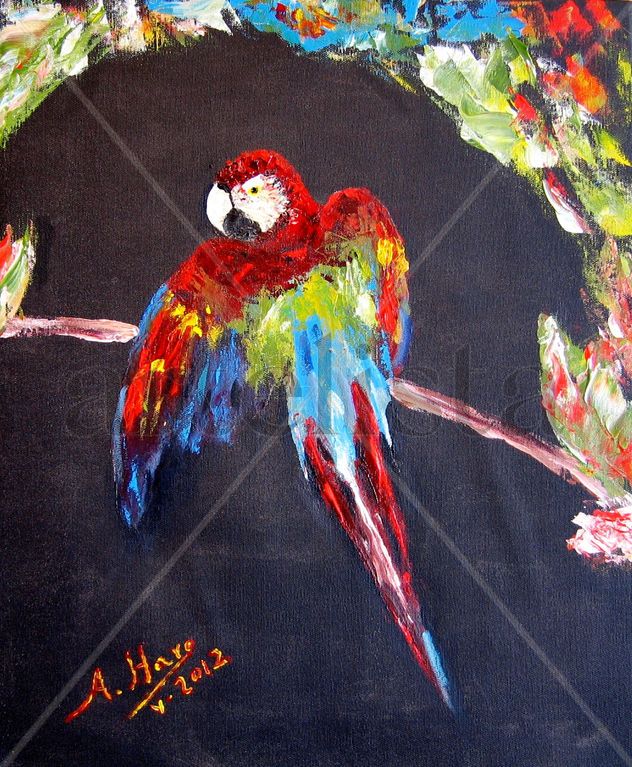 Guacamayo