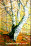 Hayedo 55x38 cm nº6