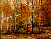 Bosque. 35x27 cm nº79