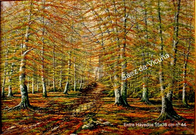 Hayedos 55x38 cm nº 44 Óleo Lienzo Paisaje