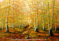 Hayedos 55x38 cm nº 44